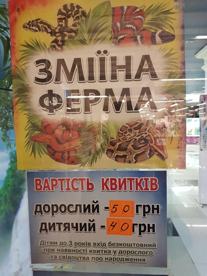 Виставка в супермаркеті "Фреш"