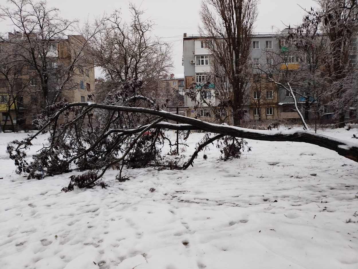 Поламані дереа=ва в Новій Каховці
