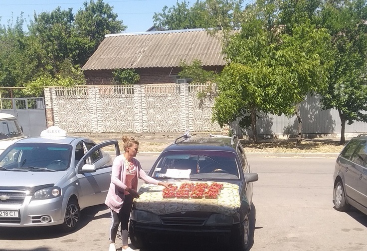 Торік у квітні полуниця в Новій Каховці була дуже дешевою