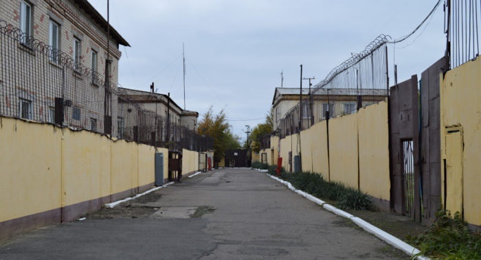 Колонія у Дар'ївці