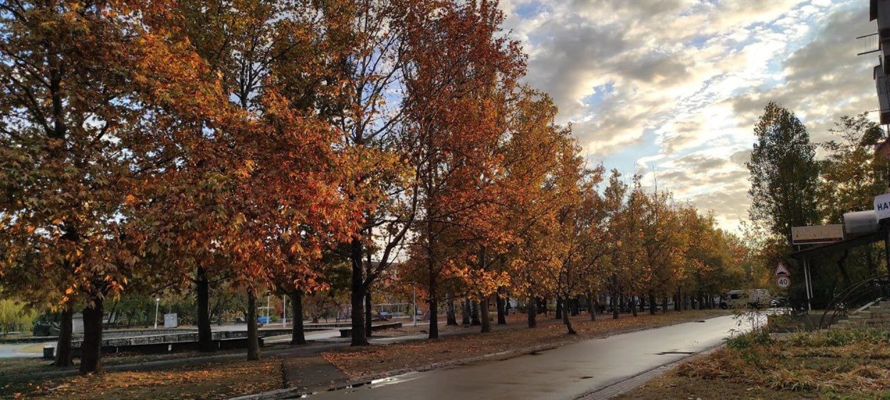 Алея кленів у Новій Каховці