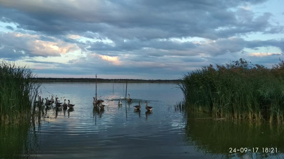 Таким було озеро до підриву Каховської ГЕС