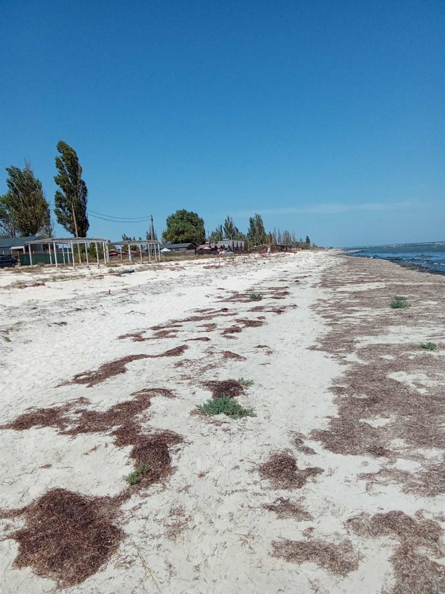Арабатська Стрілка сьогодні