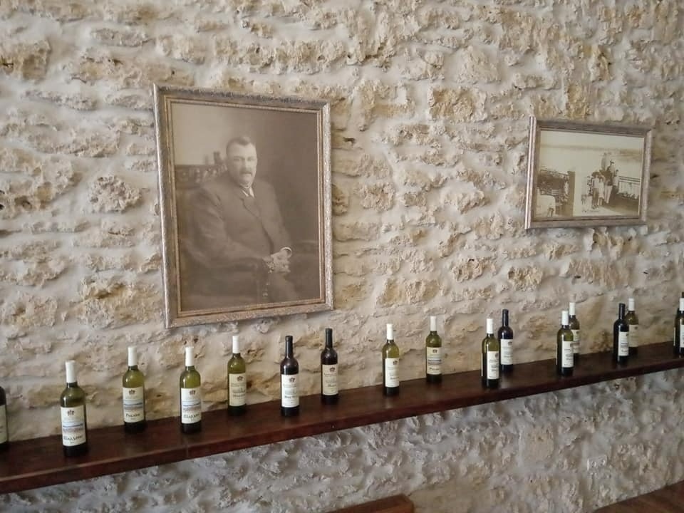 Окупанти знищили виноробню Трубецького у Новокаховськй громаді (відео)